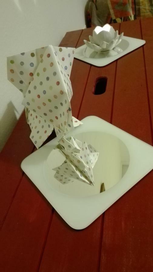 Willa Casa Millegrue Piza Zewnętrze zdjęcie